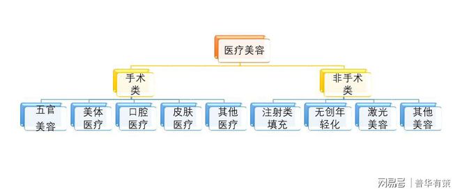 轻医美（非手术类医疗美容）成大趋势（附报告目录）明升体育(图1)